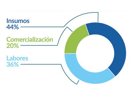 Gráfico de torta