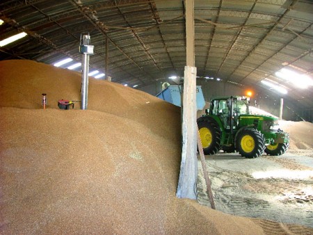 Control de roedores en plantas de acopio, feedlots y criaderos