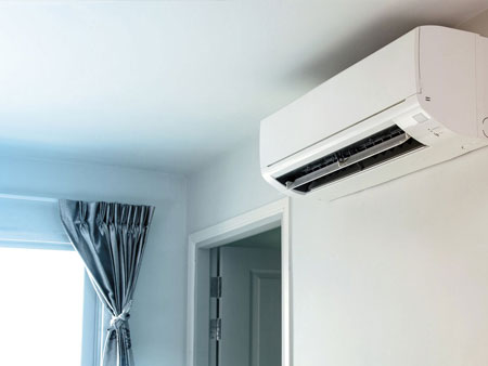 Murciélagos en equipos split de aire acondicionado
