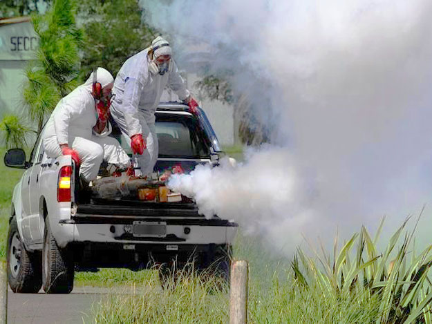 Fumigación de mosquitos