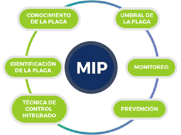 Manejo integrado de plagas gráfico